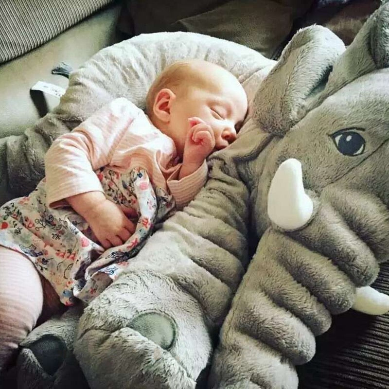 Elefante Faustino